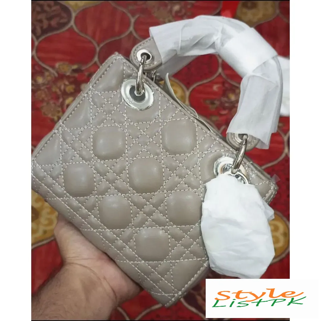 Dior Mini